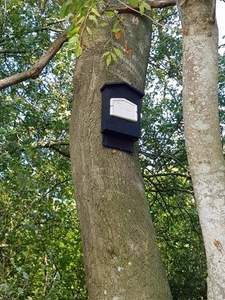 Beare Green Bat Boxes