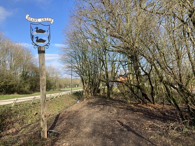 Vegetation clearance around Beare Green sign