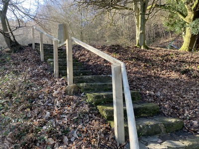Coldharbour Memorial Ground handrail