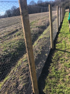 Temple Lane Allotments Fence