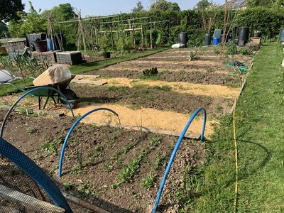 Clean up of  the Capel allotments